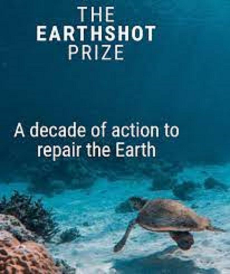 Earthshot-Prize---A-decade-of-Action-b