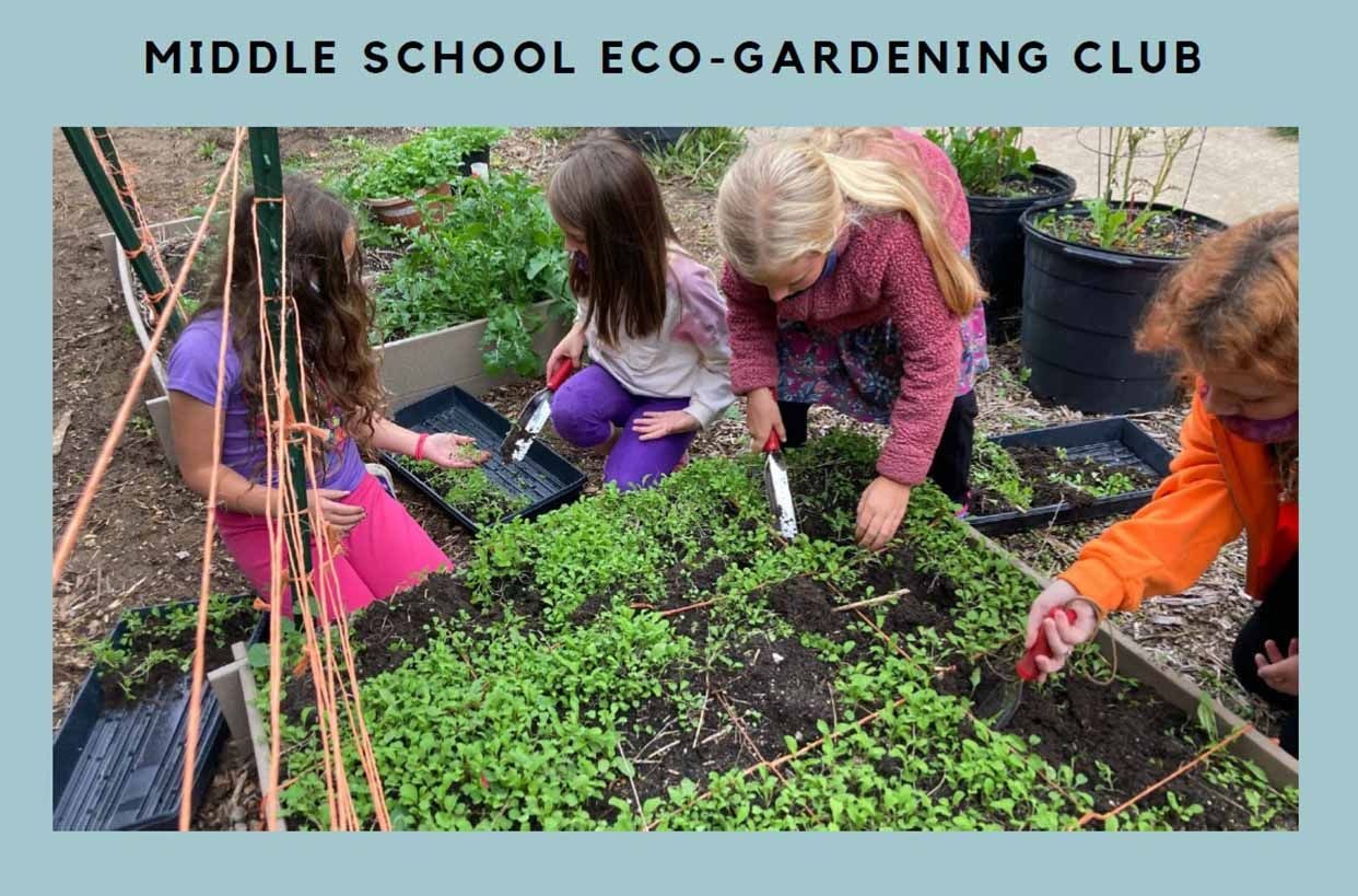 5-Middle-School-Eco-Gardening_edite_20240602-091440_1