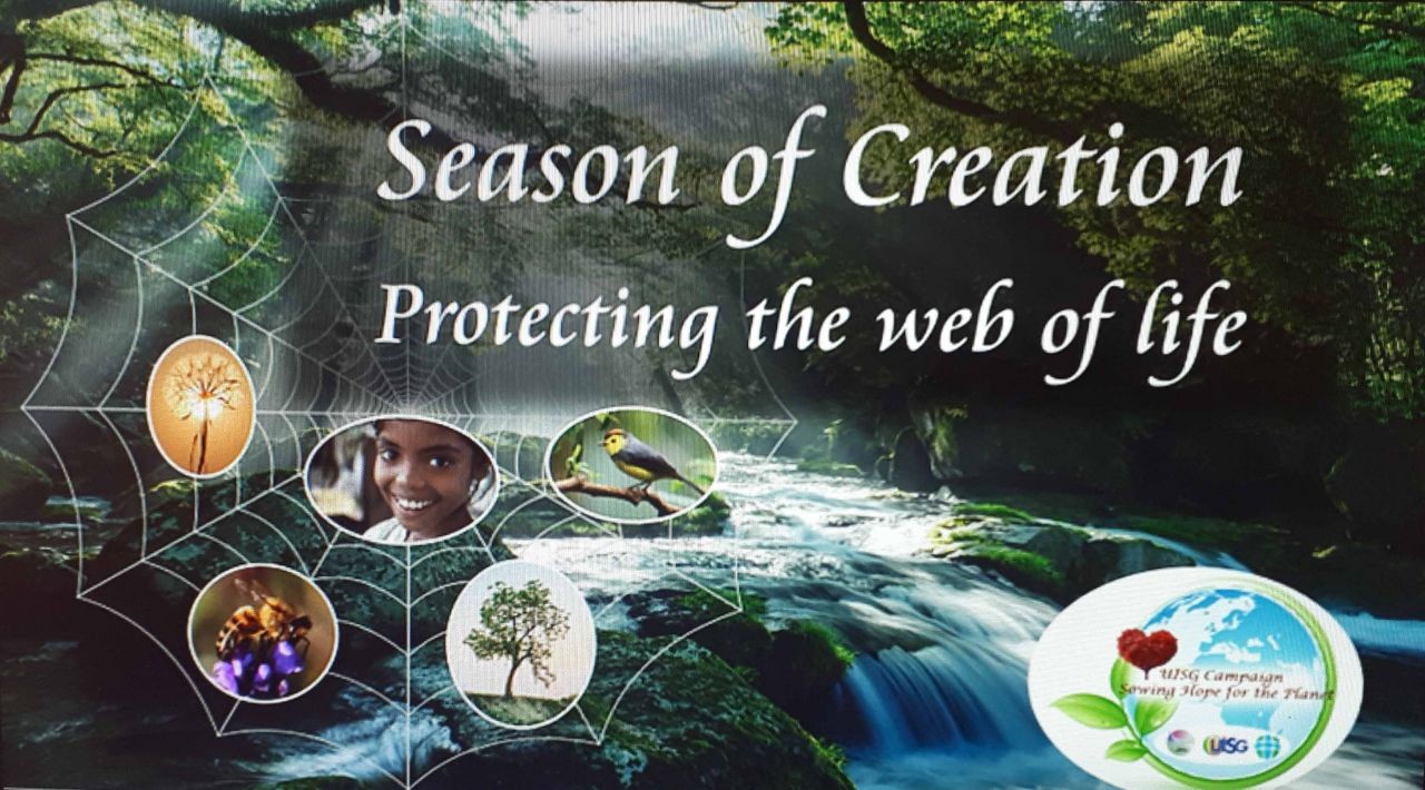 Season-of-Creation-Web-of-life